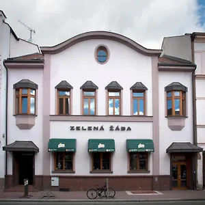 Zelena Zaba Гостевой дом Пардубице